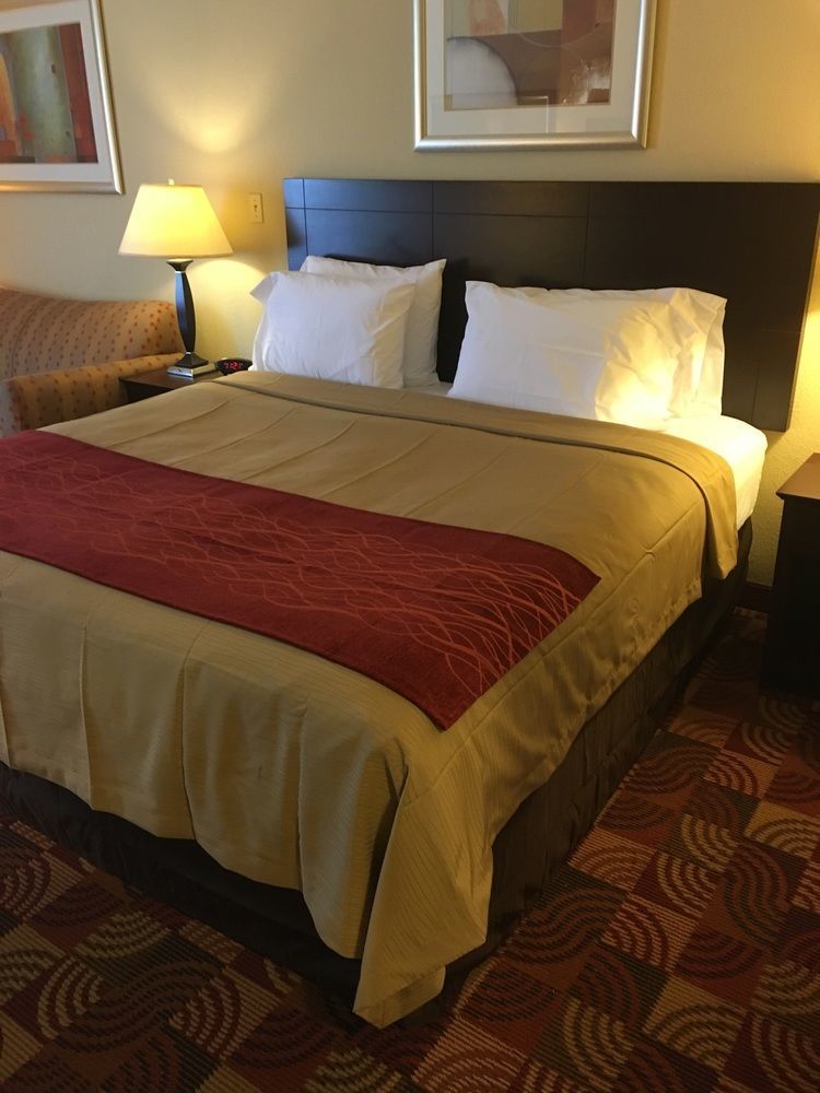 Comfort Inn & Suites Jasper Hwy 78 West Extérieur photo